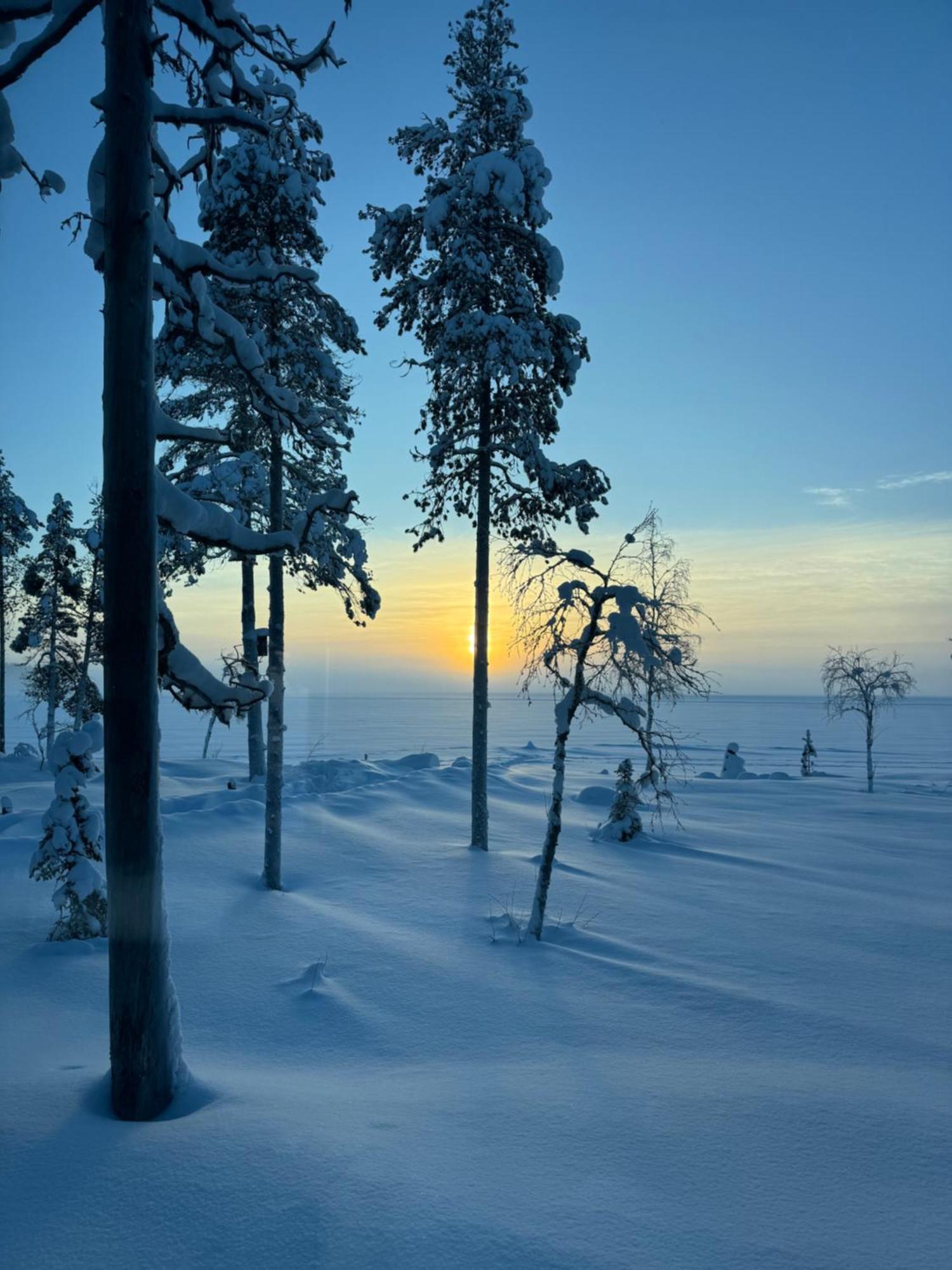 Polaris Villas Muonio Værelse billede